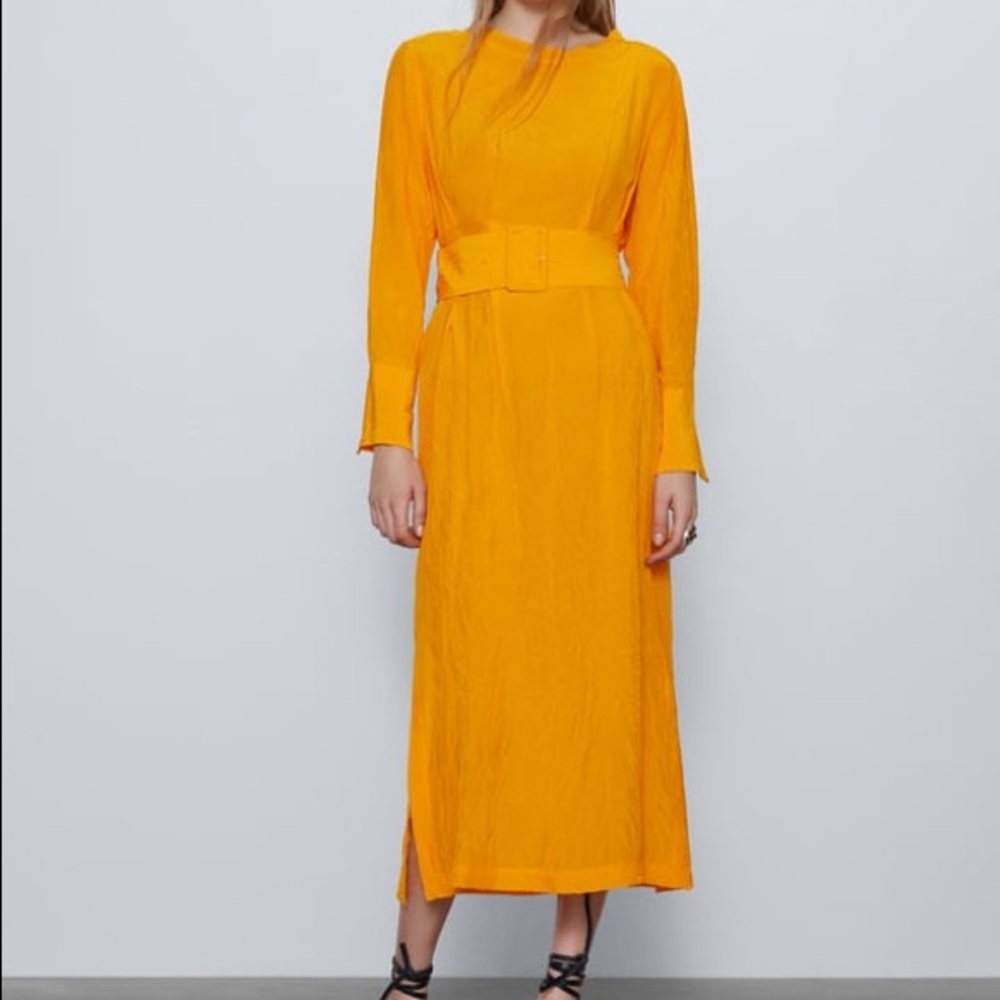 ZARA Belted Midi Dress Size Small